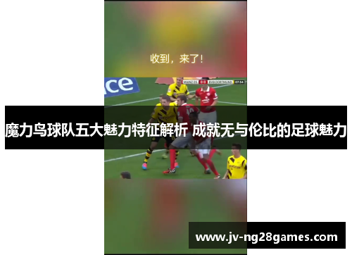 魔力鸟球队五大魅力特征解析 成就无与伦比的足球魅力
