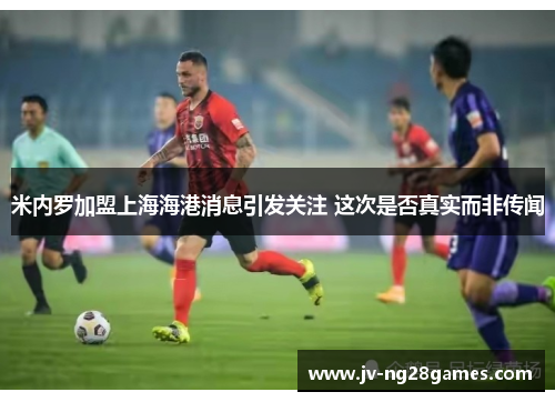 米内罗加盟上海海港消息引发关注 这次是否真实而非传闻